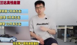 刘大姨最新爆料新闻视频,最新爆料新闻视频深度解析