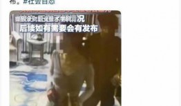 浙江女老师爆料新闻视频,揭露教育行业内幕